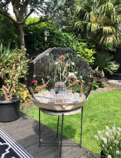 Geo jaula para pájaros con jaula negra y base crema en el jardín
