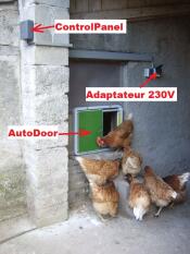 Adaptador con un Autodoor y muchos pollos