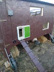 Gallinero de madera con Omlet puerta automática de gallinero verde