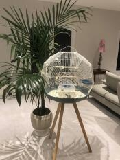 Omlet Geo jaula para pájaros con jaula blanca, base y patas altas