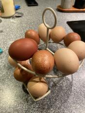 Huevos en skelter