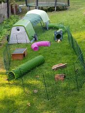 Una instalación para conejos en un jardín con un Go verde y correr