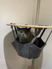 Un gato gris sentado en la cesta de su árbol para gatos de interior