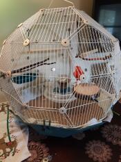 Omlet Geo jaula para pájaros con jaula blanca y base cerceta