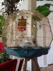 Omlet Geo jaula para pájaros con Gojaula ld, base y patas teal