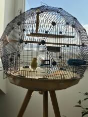Una jaula de pájaros Omlet Geo .