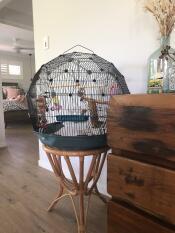 Omlet Geo jaula para pájaros con jaula negra y base cerceta