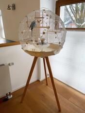 Omlet Geo jaula para pájaros con jaula blanca, base crema y patas altas