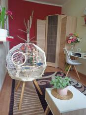 Omlet Geo jaula para pájaros con jaula blanca, base crema y patas pequeñas en el salón