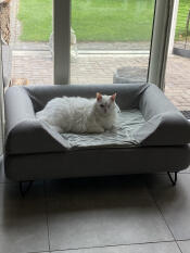 Un mullido gato blanco que disfruta de su gran cama gris con cojín