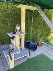 Una plataforma elevada para gatos dentro de un catio Omlet 