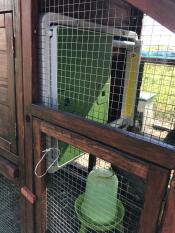 Omlet puerta automática verde para gallinero unida a un gallinero de madera