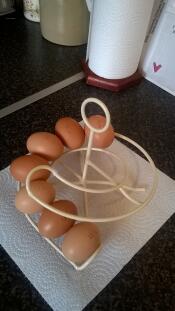 ¡el huevo skelter mostrando el duro trabajo de nuestras gallinas!