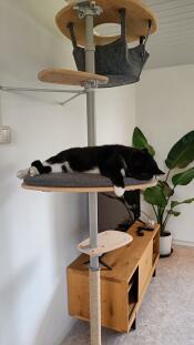 Un gato descansando en la plataforma de su árbol para gatos de interior