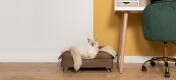 Lindo gato blanco esponjoso sentado en la cama de espuma de memoria de gato marrón moca con pies de tapa de latón
