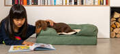 Ofrece a tu perro el mejor descanso con las camas acolchadas de Omlet