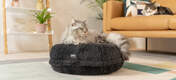 La cama donut se amolda al cuerpo de tu gato, como Sammy, el gato de la imagen que pesa 5 kg