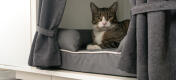 Colocando la cama de tu gato en un lugar elevado como el Maya Nook lo protegerá de las corrientes de aire y otras perturbaciones