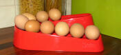 Una rampa de huevos rojos en la cocina