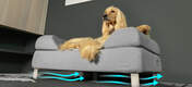 Perro tumbado en la cama para perros Topology de Omlet efecto sofá con patas de horquilla blancas con flujo de aire