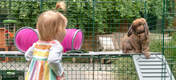 A los niños les encantará ver como los conejos exploran su parque de aventuras