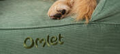 Primer plano de los pies del perro en un cómodo y fácil de limpiar Omlet bolster dog bed