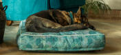 Pastor alemán en un gran estampado Omlet cojín cama para perros