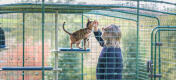 Hombre acariciando a su gato dentro del recinto de Omlet con el árbol de exterior para gatos Freestyle