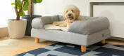 Perro blanco durmiendo en gris Omlet espuma de memoria cama de perro y alfombra de refrigeración