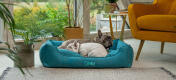 Dos frenchies acurrucados en una acogedora cama para perros Omlet nest