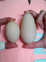 Comparando huevos