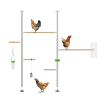Ofrece un nuevo nivel de entretenimiento a tus gallinas y aprovecha toda la altura vertical de tu gallinero con el Poletree-Sistema de perchas personalizable de Omlet para gallinas.