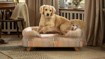 Labrador saltando de cama para perros bolster levantado en pawsteps impresión natural con patas cuadradas de madera.