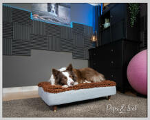 Peps & scot perro durmiendo en Omlet Topology cama para perros con topper de microfibra y pies de madera con tapa de latón