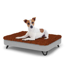 Perro sentado en una pequeña cama para perros Topology con topper de microfibra y patas de horquilla de metal negro