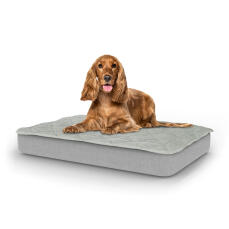Perro sentado en la cama para perros mediana Topology con topper acolchado