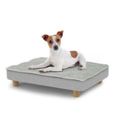 Perro sentado en una pequeña cama para perros Topology con topper acolchado y patas redondas de madera