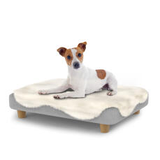 Perro sentado en una pequeña cama para perros Topology con topper de piel de oveja y patas redondas de madera