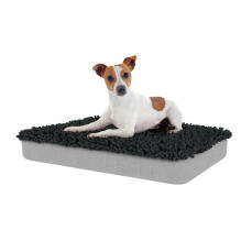 Perro sentado en la cama para perros mediana Topology con topper de microfibra gris carbón