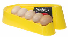 Rampa de huevos amarillos