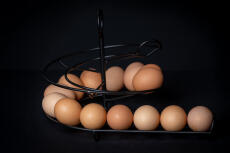 Huevos en una huevera circular negra