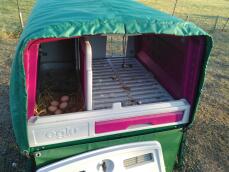 Manta térmica acceso a los huevos y a la caja nido