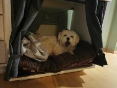 Perro tumbado en Omlet Fido Nook muebles para cajas de perro