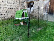 Una valla para pollos en un jardín, rodeando un gallinero verde