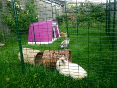 Una pareja de conejos dentro de su recinto, junto a su conejera rosa