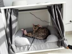 Maya Nook con una cama de almohadones en su interior con un gato durmiendo en ella
