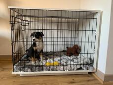 Perro en Omlet Fido Studio muebles para cajas de perro