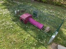 Omlet Zippi corral para conejos con Zippi refugio y túnel en el jardín