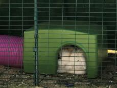 Conejos durmiendo en el interior del refugio verde Zippi 