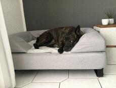 Perro durmiendo en Omlet Topology cama para perros con cojín y pies
